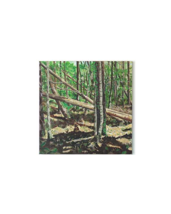 img 7710 edit01 4x5 wpgallery