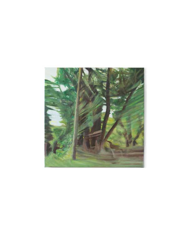 img 7713 edit01 4x5 wpgalle