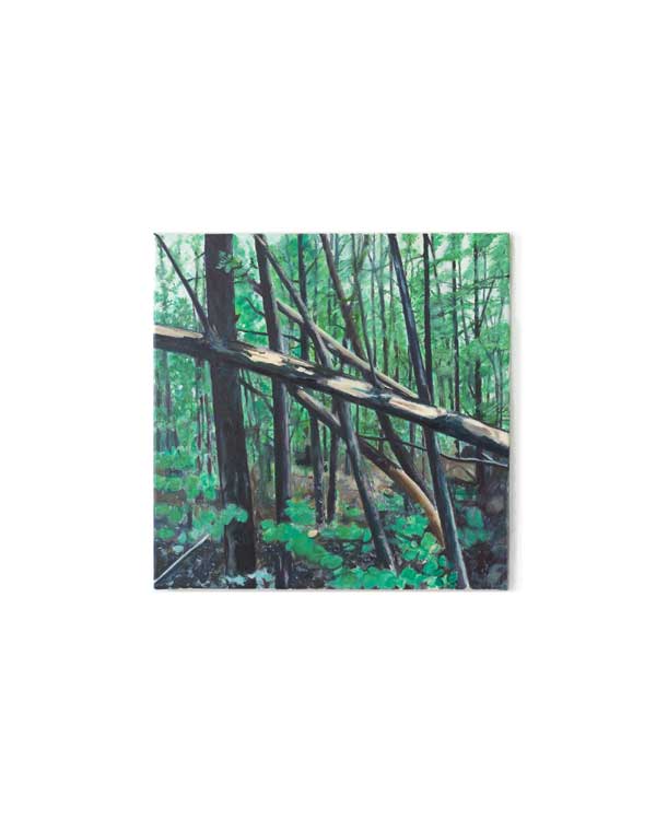 img 7723 edit01 4x5 wpgalle