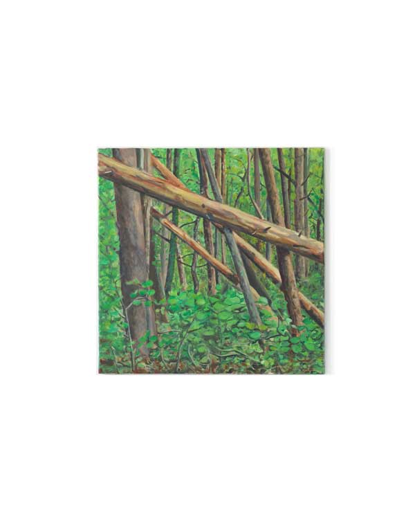 img 7725 edit01 4x5 wpgalle