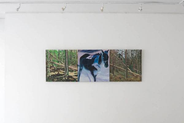 cheval tolstoi img 5289edit